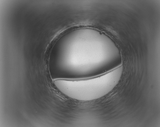 X0000068731160200604280943