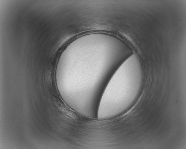 X0000068731163200604280943