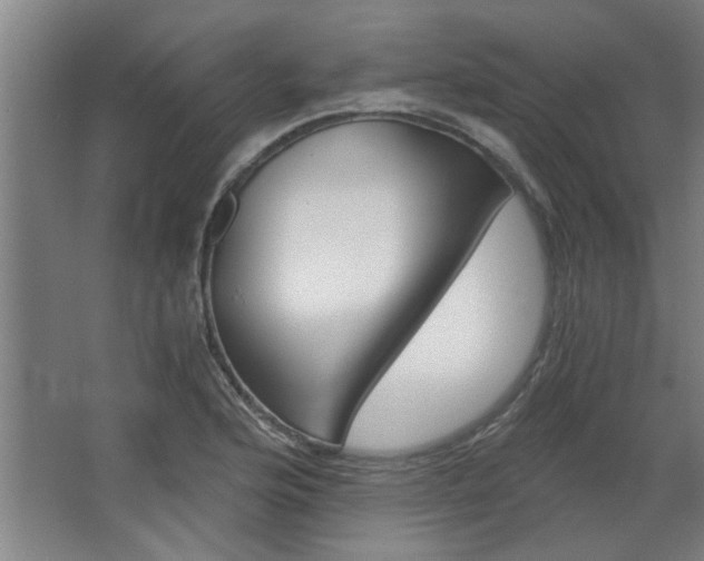 X0000068731176200604280942