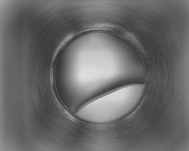X0000068731180200604280942
