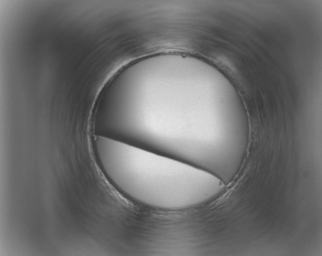 X0000068731182200604280942