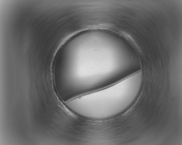 X0000068731184200604280942
