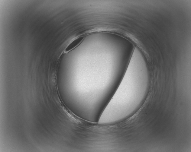 X0000068731185200604280942