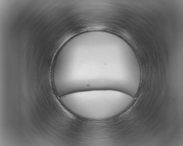 X0000068731186200604280942
