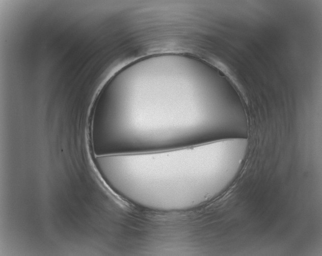 X0000068731187200604280942