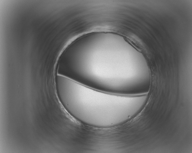 X0000068731192200604280942