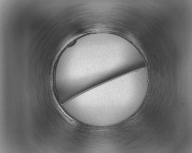 X0000068731195200604280942