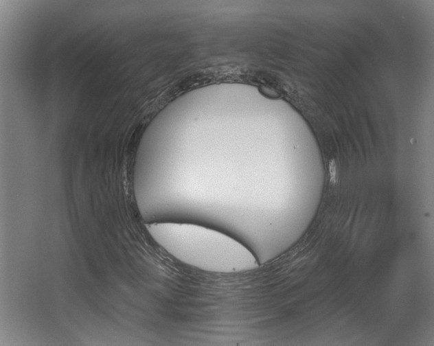 X0000068731203200604280941