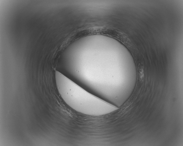 X0000068731204200604280941