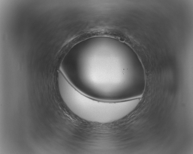 X0000068731206200604280941