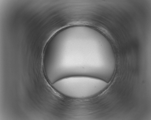 X0000068731228200604280942