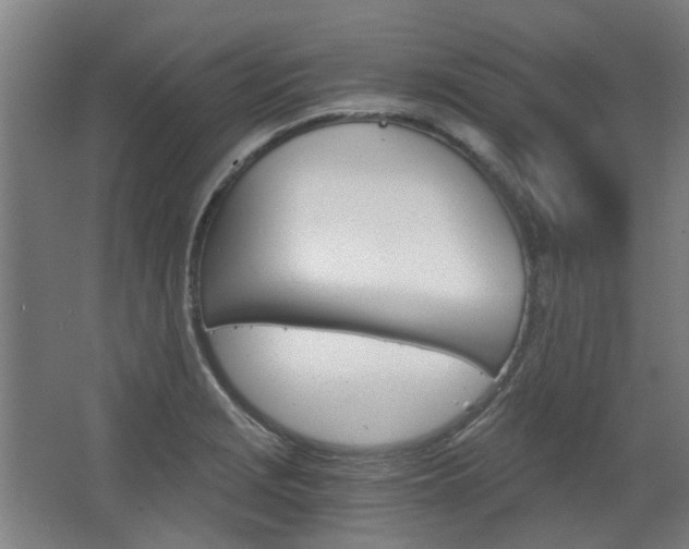 X0000068731229200604280942