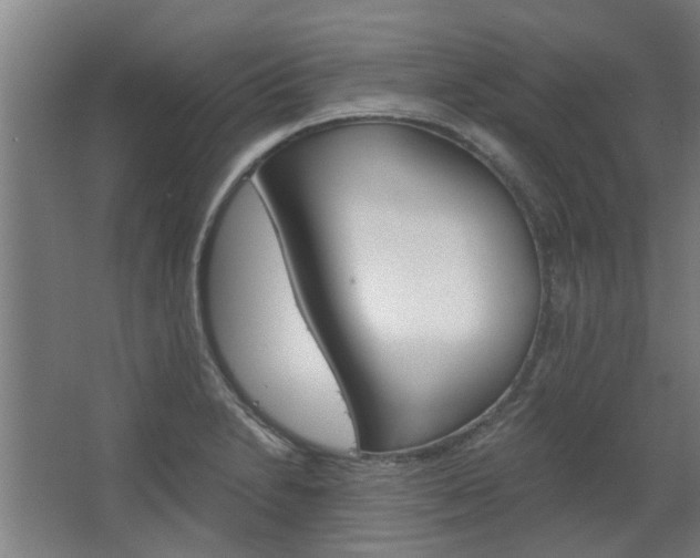 X0000068731230200604280942