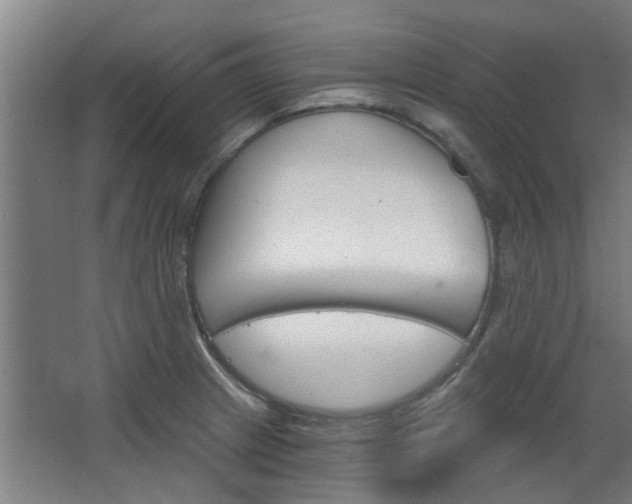 X0000068731233200604280942