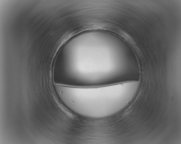 X0000068731234200604280942