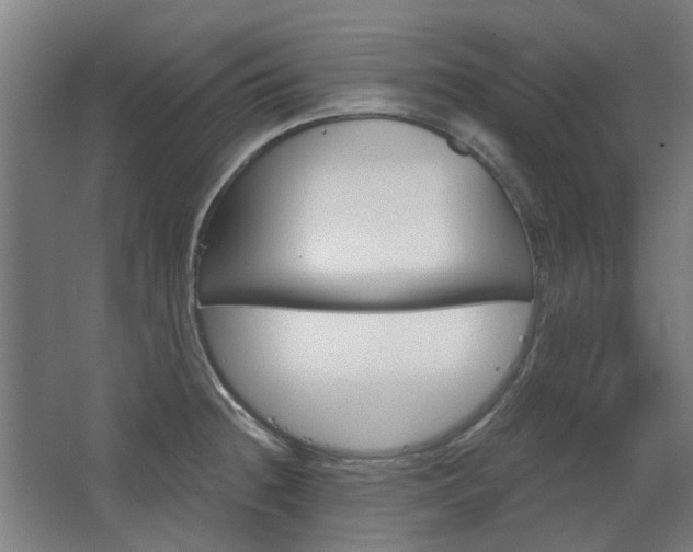 X0000068731236200604280942