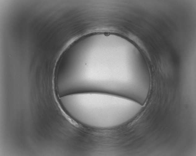 X0000068731237200604280942