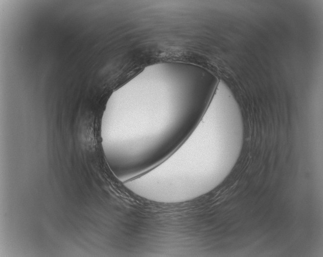 X0000068731250200604280941