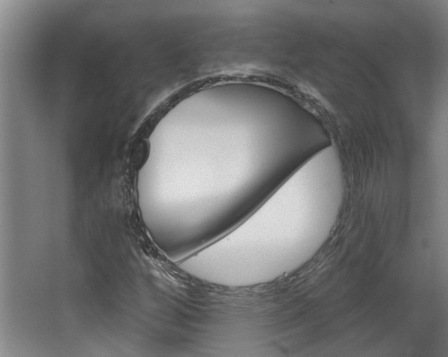 X0000068731256200604280941