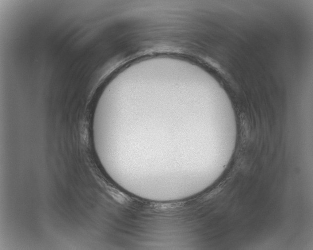 X0000068731266200604280941