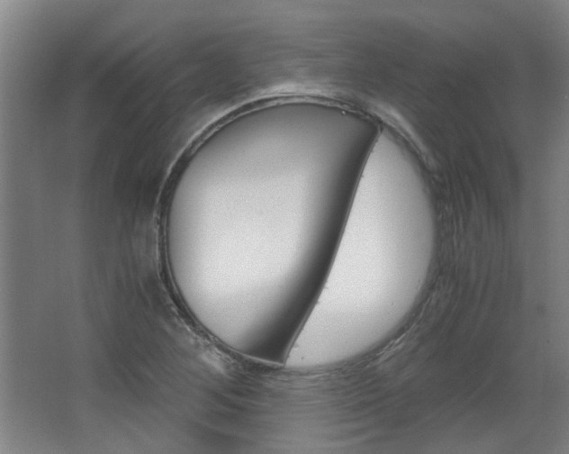 X0000068731268200604280941