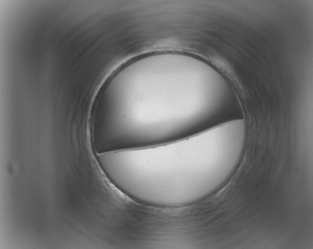 X0000068731288200604280940