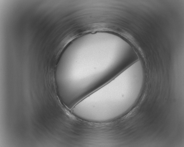 X0000068731289200604280940