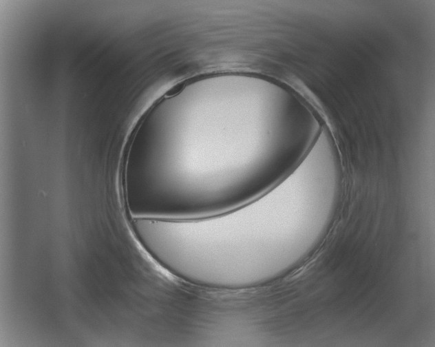 X0000068731293200604280940