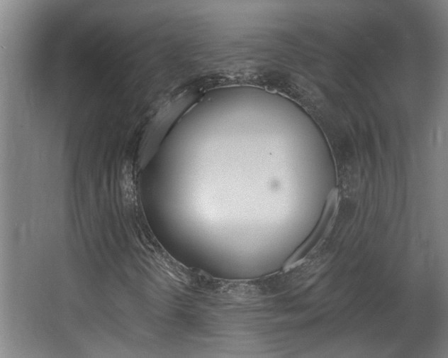 X0000068731298200604280940
