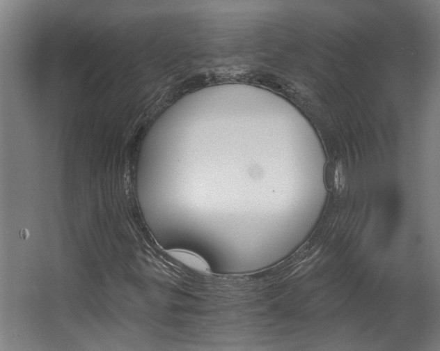 X0000068731299200604280940