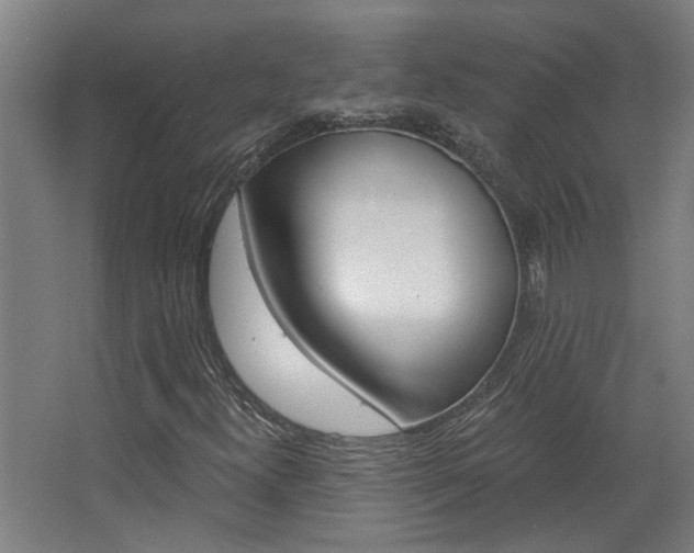 X0000068731300200604280940