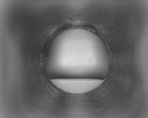 X0000068731301200604280940