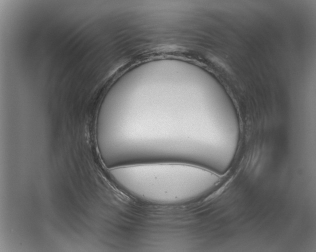X0000068731305200604280940