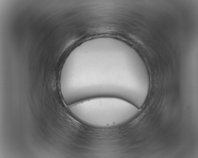 X0000068731306200604280940
