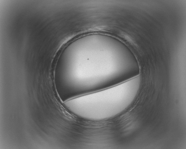 X0000068731308200604280940