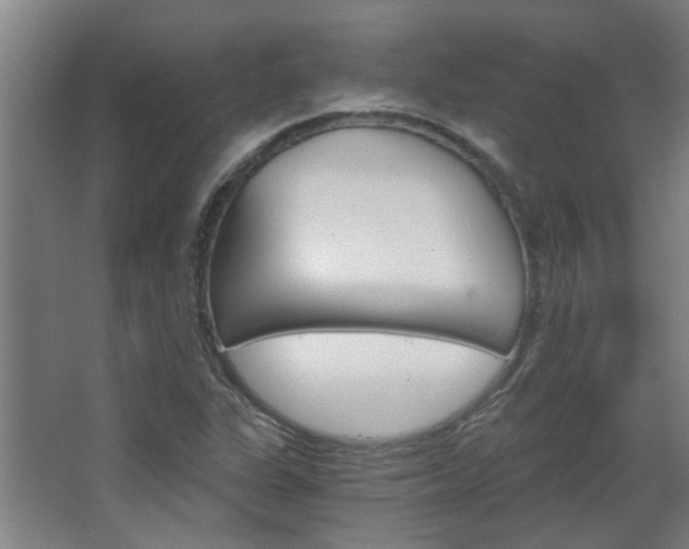 X0000068731311200604280940