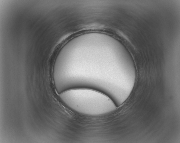 X0000068731315200604280940