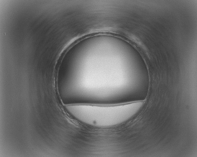 X0000068731316200604280940