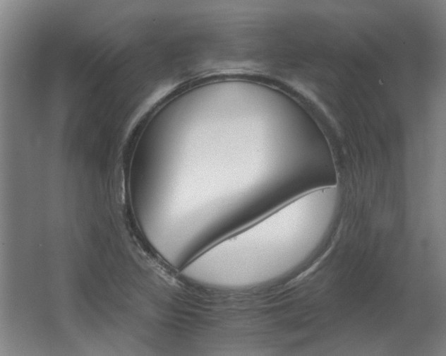 X0000068731317200604280940