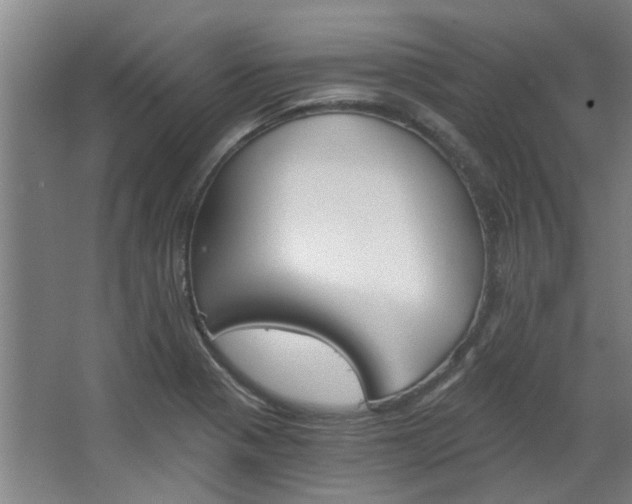 X0000068731321200604280940