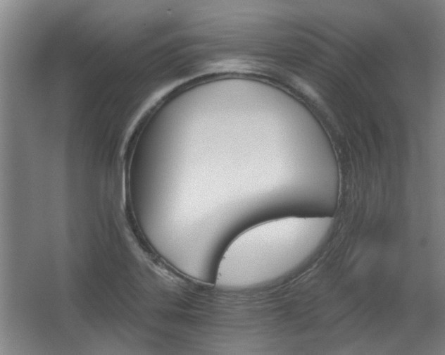 X0000068731323200604280940