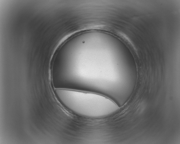 X0000068731324200604280940
