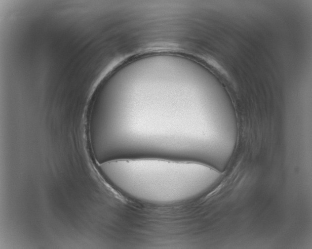 X0000068731325200604280940
