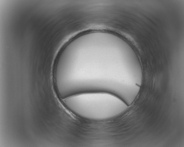 X0000068731327200604280940
