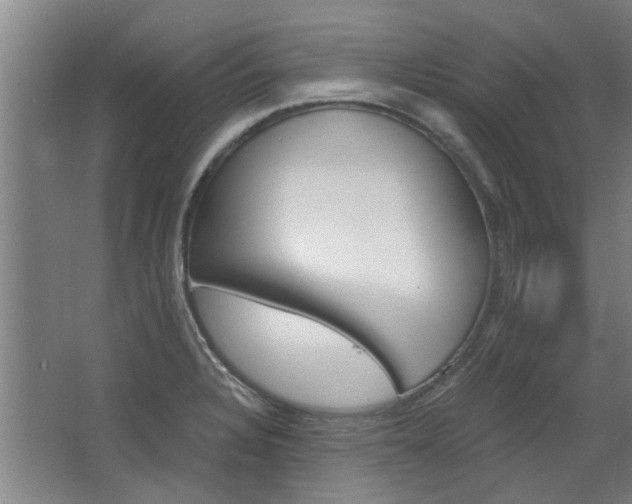X0000068731328200604280940