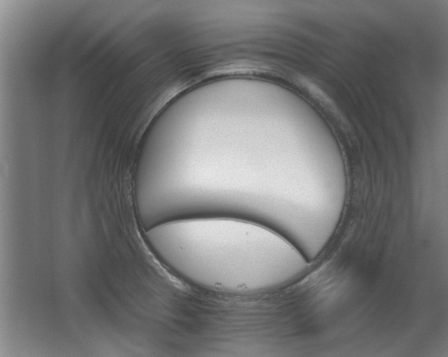 X0000068731329200604280940