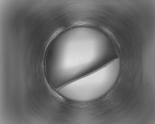 X0000068731330200604280940