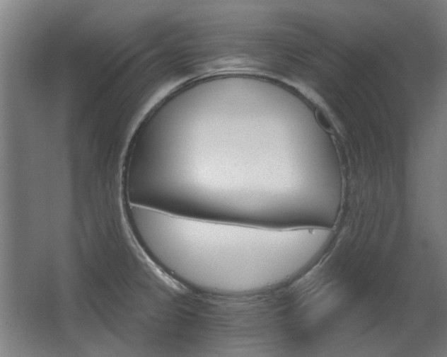 X0000068731333200604280940