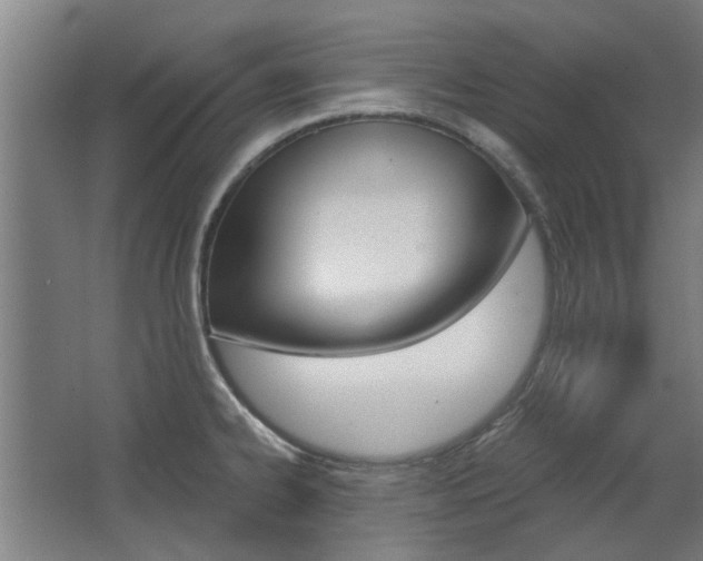 X0000068731334200604280940