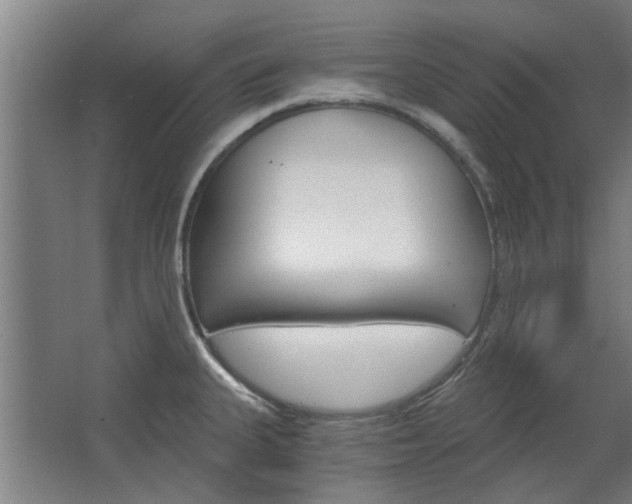 X0000068731335200604280940